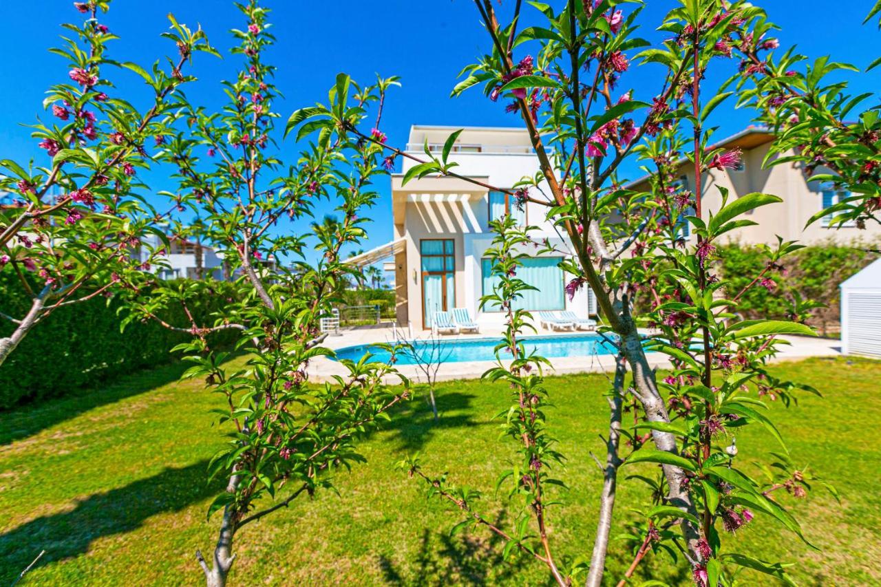 Paradise Town Villa Daisy Белек Екстериор снимка